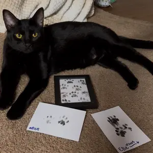 Larleaf Paw Print Kit, 4-Pcs Ink Pads + 2 Photo Frame, Mess-Free Paw Print Stamp Pad for Dogs & Cats, Clean Touch Ink Pad, Dog Nose Print Kit, Keepsake Gift For Pet Dogs And Cats, Memorial Gift For Pets, Pet Memorials, Dog Stuff