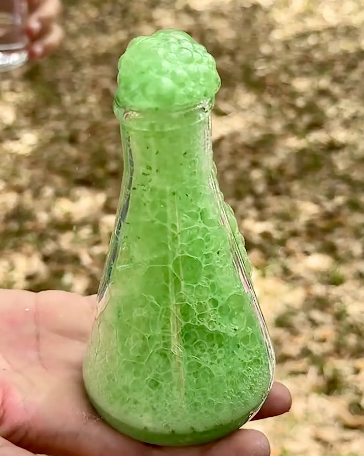 1oz Dancing Dragonfly Dust Potion - Non-Toxic STEM Activity with Biodegradable Glitter for Hands-On Sensory Play and Curiosity