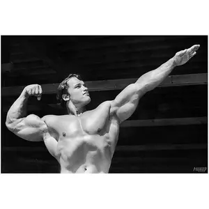No Framed, Arnold Schwarzenegger Gym