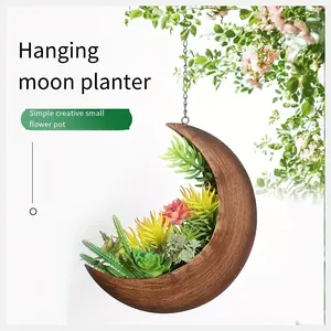 Moon Hanging Planter Flower Pot Tiktok Trend, Vintage Brass Color, Succulent Air Fern Cactus Holder, Bohemian Home Decor, Plant Lover Gift