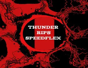 SPEEDFLEX BREAKS SERIES 1 - 32 BOX PICK YOUR TEAM (PYT) + PANINI SPORTS TRADING CARDS