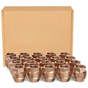 24pcs 14x1.5 Lug Nuts Fit for Express Silverado Sierra 1500 Suburban C1500 K1500 Avalanche, 1.13" Tall 7/8" 22mm Hex, OEM Factory Open End Acorn Lugnuts Replacement