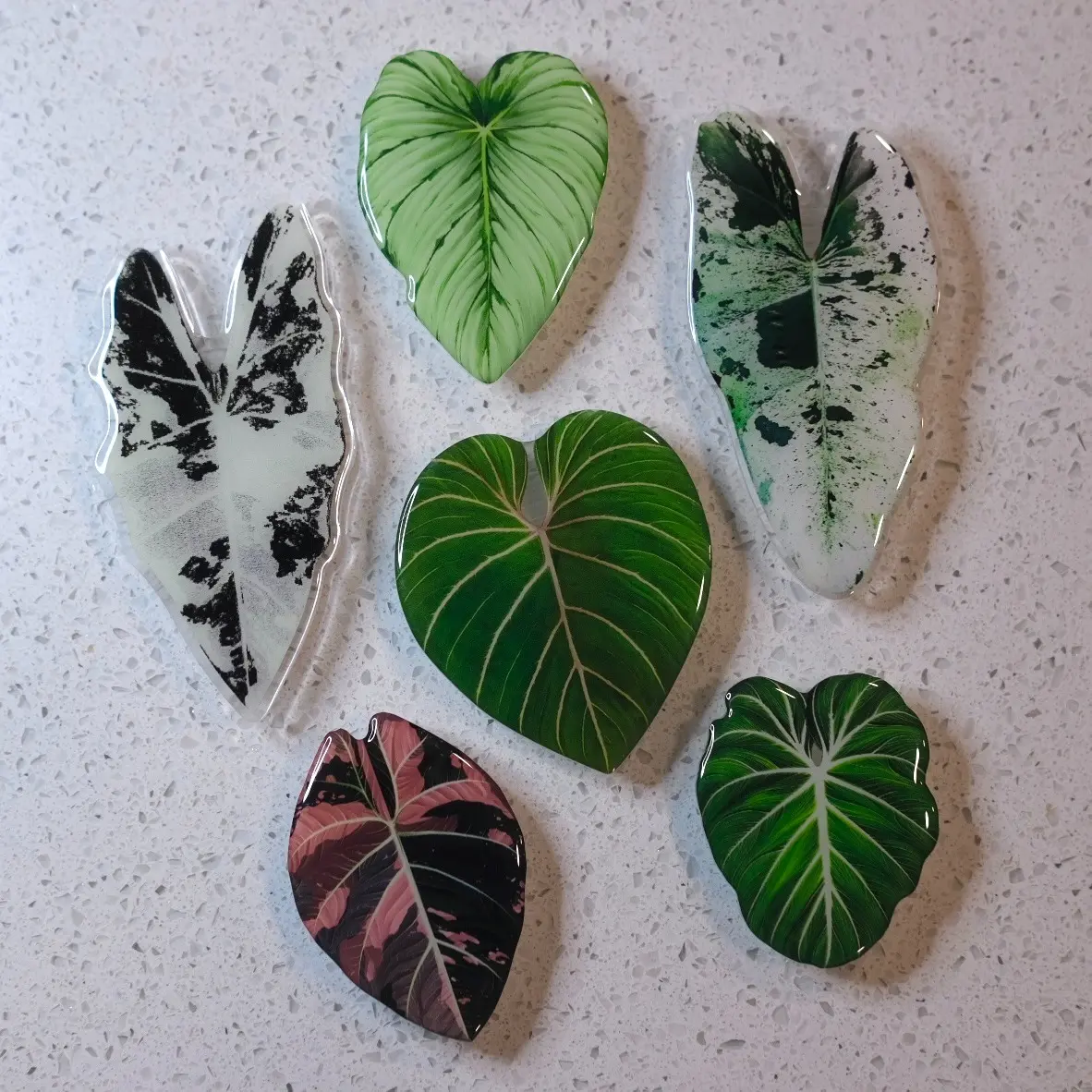 Tropical Plants Phone Grip  Botanical Pop Socket, Plant Lover Gift,  Nature-Inspired Phone Stand - TikTok Shop