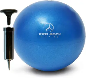 ProBody Pilates Small Exercise Ball with Pump - 9 Inch Workout Ball for Stability, Barre, Yoga, Core & Physical Therapy