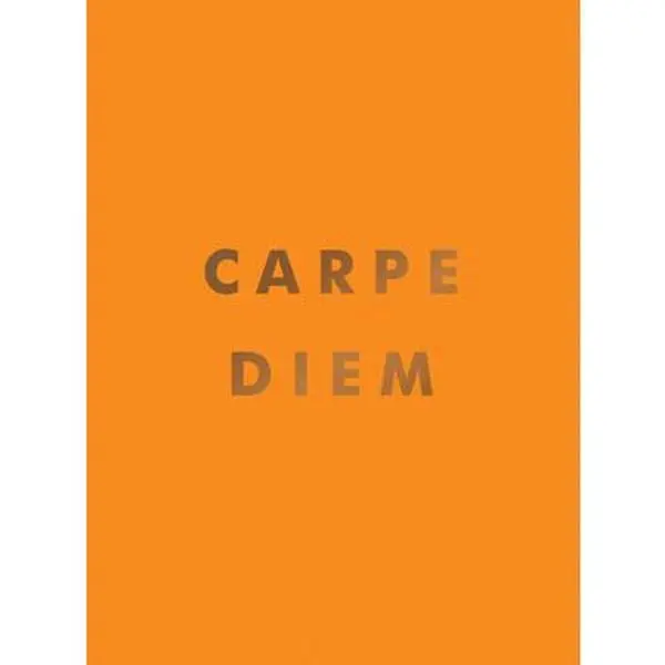 USED Book - Carpe Diem: Inspirational Quotes and Awesome Affirmations for Seizing the Day by Summersdale (Hardcover) - english
