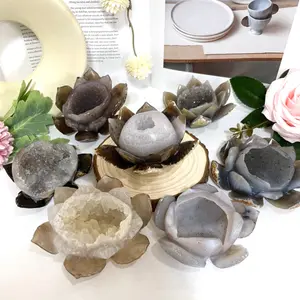 Lotus Druzy Natural Raw Geode From IG Crystal