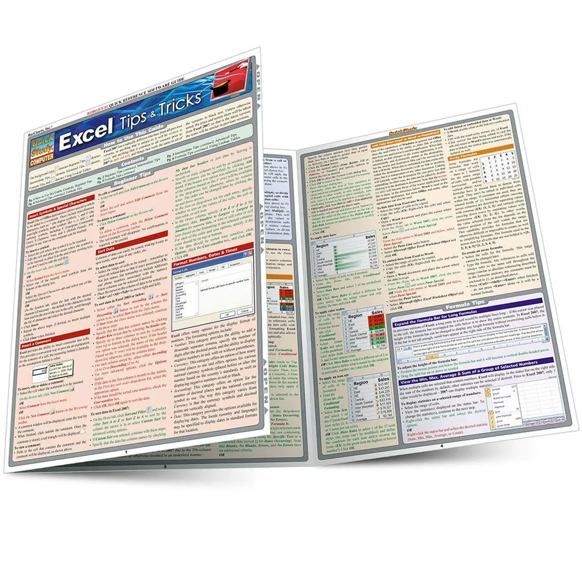 Excel Tips & Tricks QuickStudy Laminated Reference Guide (QuickStudy Computer) Pamphlet – November 18, 2008