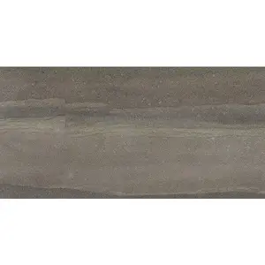 12 X 24 In Crux Mica Matte Pressed Glazed Porcelain