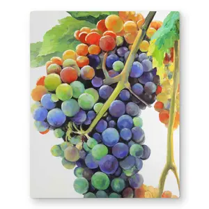 212 MAIN Aluminium Metal Finish Wall Art Print - 16x20 in Colorful Grape Cluster Fruit Photo, Artistic Illustrations, Modern Room Home Decor Still Life Artwork