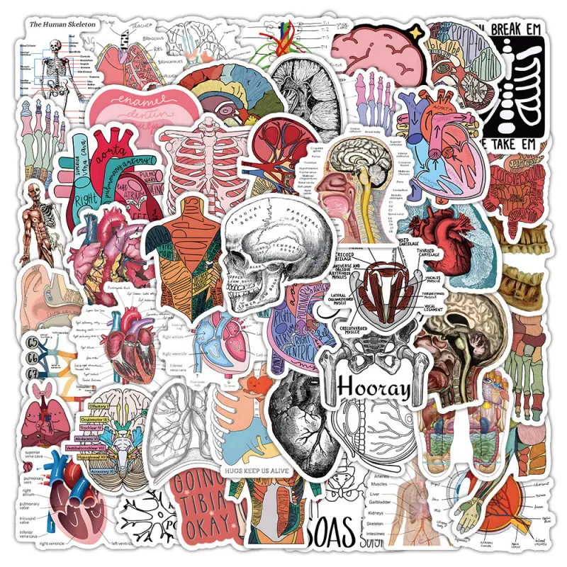 53-Piece Vinyl Stickers Pack, Waterproof Durable Planner Stickers for Medical Students, Body Structure Graffiti, Modern DIY Decorative Office Stationery for Notes & Water Bottles, Waterproof Durable Sticker