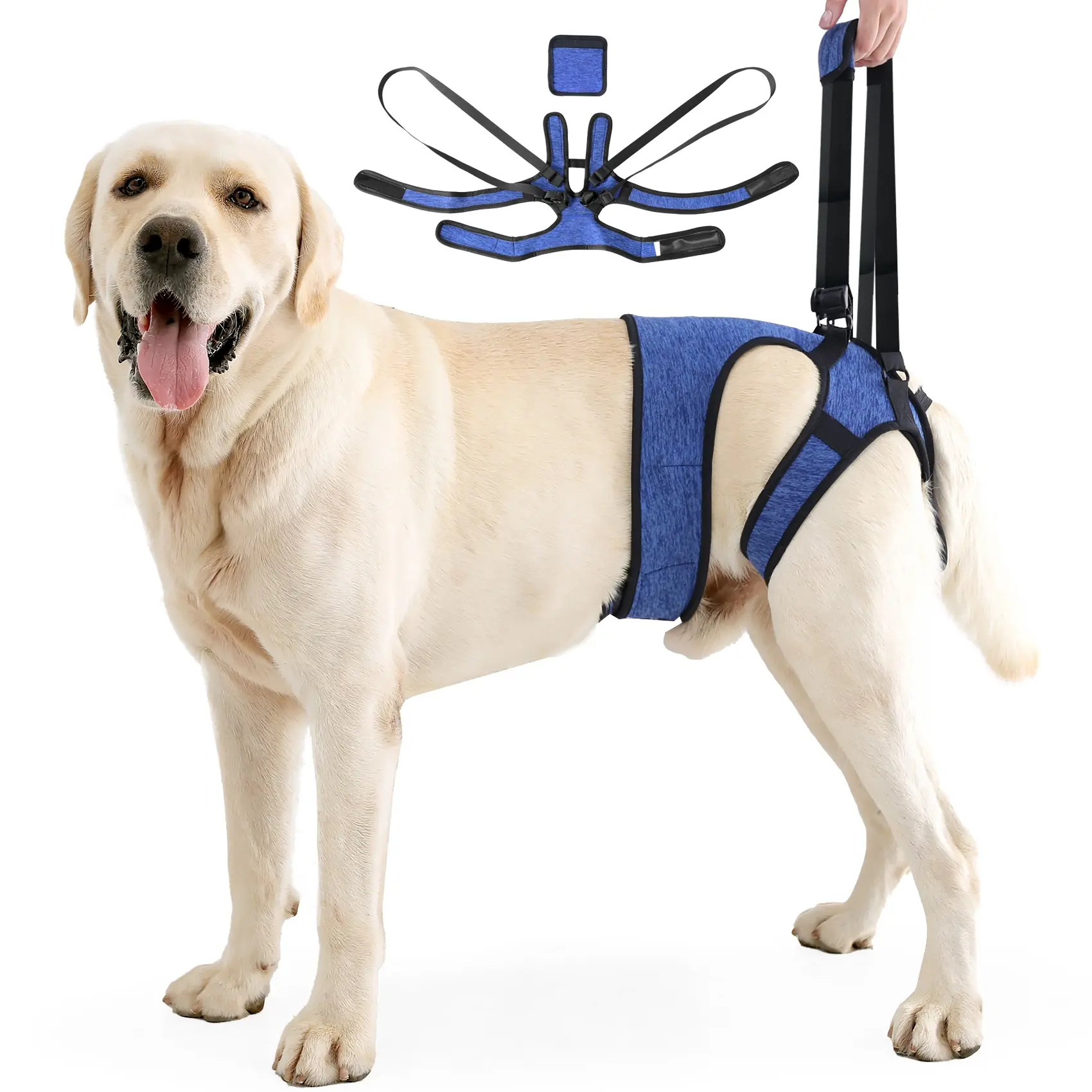 Adjustable Rear Leg Support Harness  Dogs, Breathable Soft Fabric, Suitable  Medium Large Dogs, Elderly Pets, Deep Blue Color hands-free running reflective strip girl Bold Aggressive Leather  Rhinestone Bowknot  gps Christmas Tree escape proof bark collar