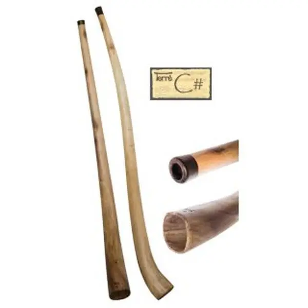 Terre Hibiscus Didgeridoo 66-71 inch with bag
