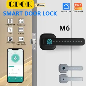 Cdok M6 Smart Door Lock, Bluetooth-compatible Enabled, Fingerprint Password Lock, Bedroom Apartment Door Lock, Tuya Technology, Model Xinghao