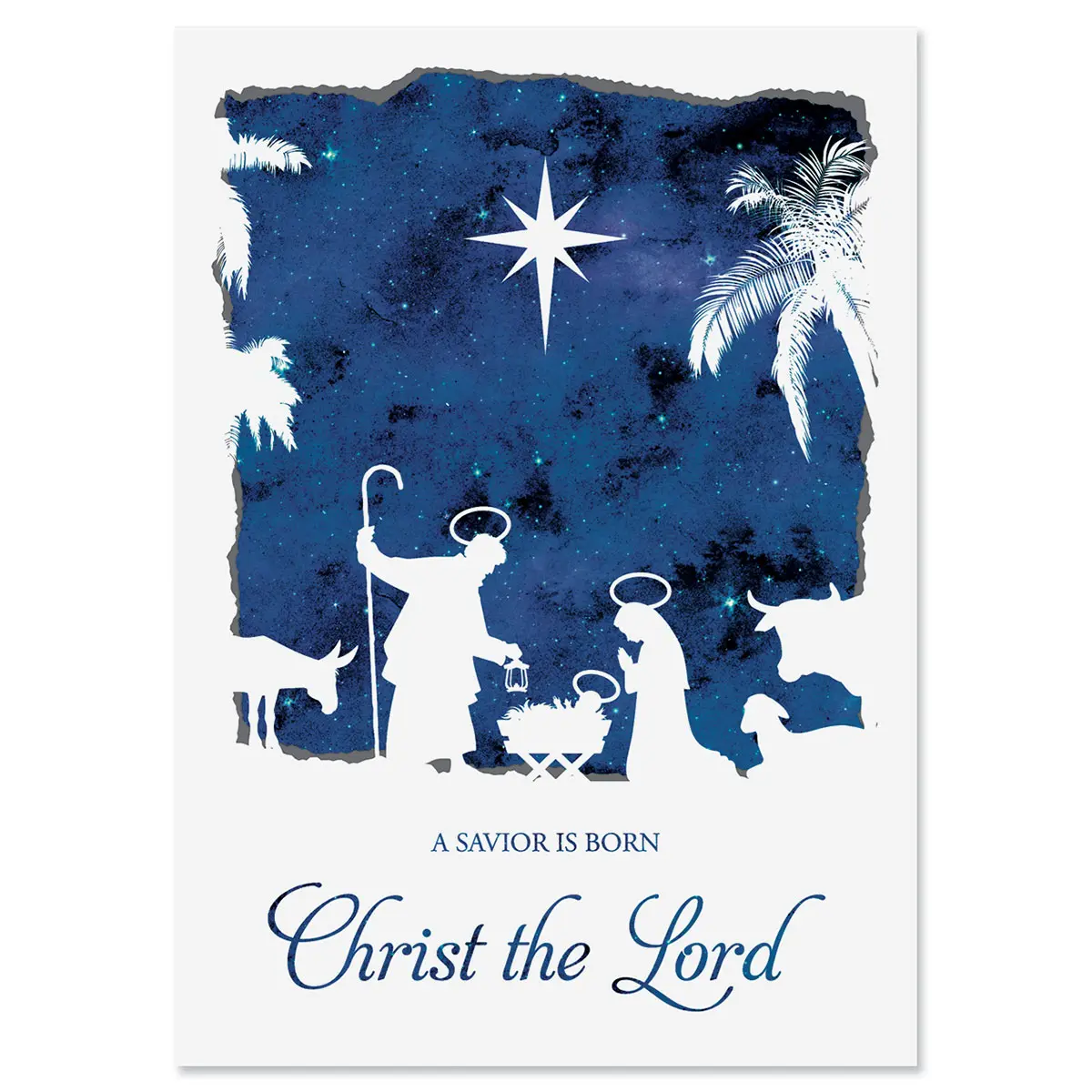 Lillian Vernon A Savior is Born Christmas Greeting Cards Set - Set of 18 Large 5 x 7-Inch Folded Cards, Themed Religious Holiday Card Value Pack, Envelopes Included