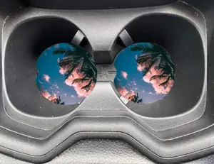 Beachy Palms Car Coasters