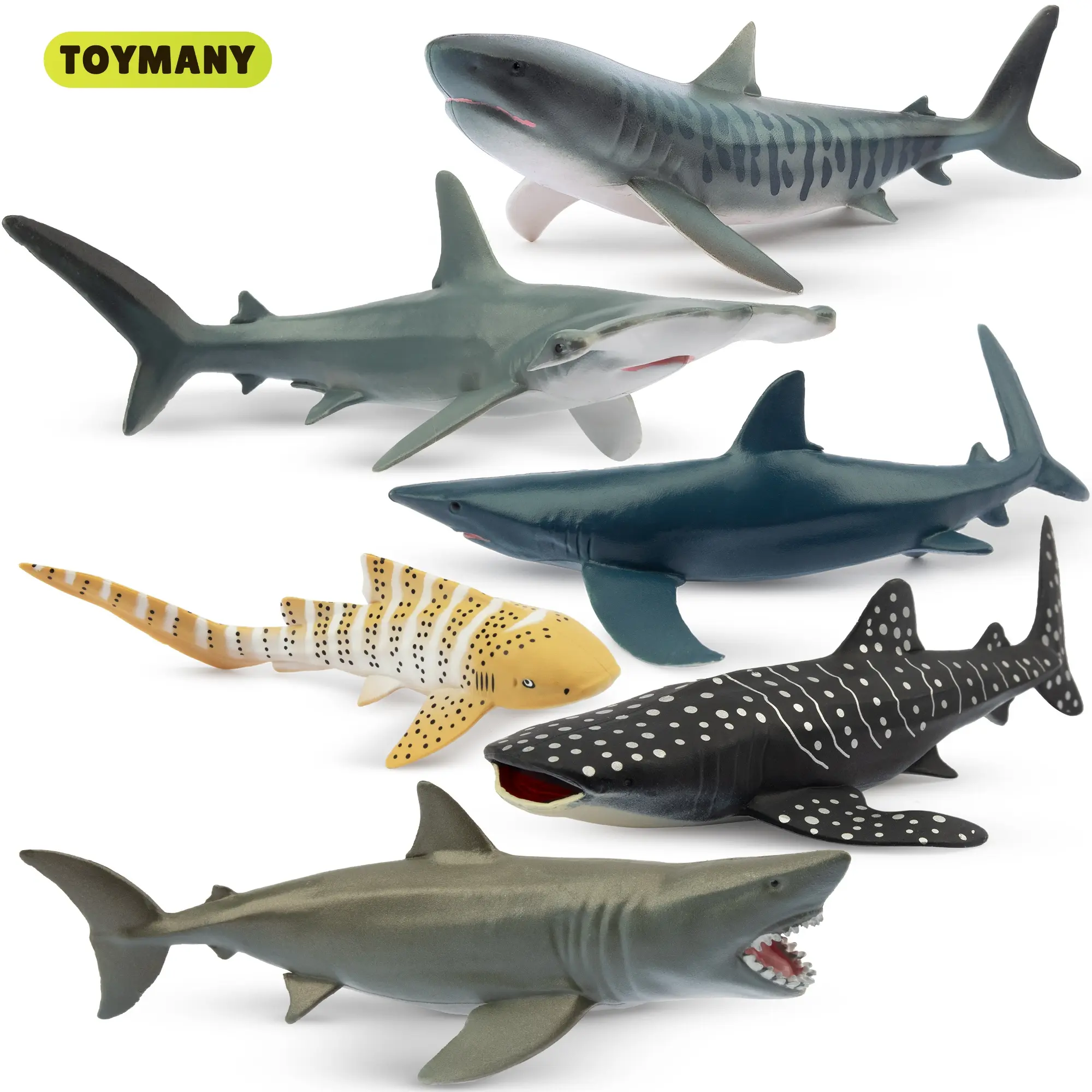 TOYMANY 6PCS Realistic Shark PVC Action Figures Playset - 5-6in Educational Ocean Animal Collectible Set, Toys & Gifts for Kids