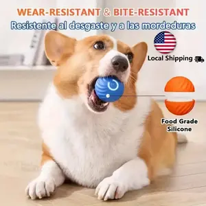 All-Breed Interactive Bouncing Pet Ball - USB Rechargeable, Smart Rolling & Training Toy, Striped Design for Indoor Fun