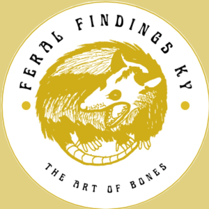 Feral Findings KY