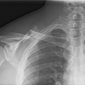 review image 8