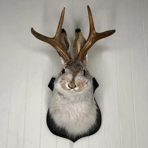 jackalope resin head wall hanging ornament, animal specimen style wall art, home decoration, unique gift ideas, hangable