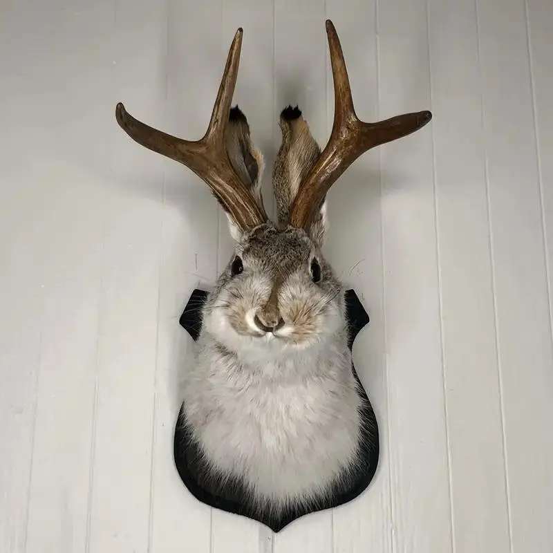 Jackalope Head Resin Wall Hanging Ornament, Animal Specimen Style Wall Art, Home Decoration, Unique Gift Ideas, Hangable, Wall Ornaments