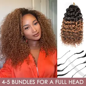 LWIGS #1B/30 & T#2/4/27 & T#2/99J Ombre Color Crochet Human Hair Extensions Pre-Separated Lightweight Deep Wave Feather Crochet Hair TikTokShopHolidayHaul