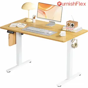 Electric Standing Desk with Memory Preset, Ergonomic Height Adjustable Table with Bracket, Modern Computer Workstations for Home Office