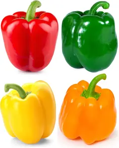 200+ Sweet Bell Pepper Seed Collection for Planting a Home Garden - Red, Yellow, Purple, Orange and Chocolate Brown Bell Peppers - Non-GMO Heirloom Variety Pack Vegetable Seeds to Plant