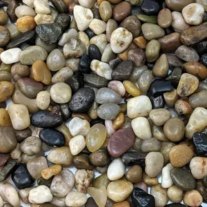 Decorative Polished Mixed Pebbles 3/8" Gravel Size - (2-lb Bag)