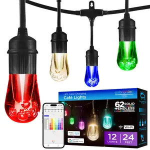 Enbrighten VIBE WiFi Vintage Color-Changing LED Cafe Lights, 12 Bulbs, 24ft. Black Cord