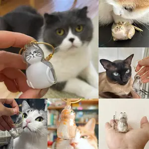 6PCS Cat Hair Memorial Pendant, Cat Fur Keepsake Capsule Pendant, Cat Fur Keepsake Keychain, Pet Hair Storage Bottle, Cat Lover Collecting Gift, Back-to-school gifts