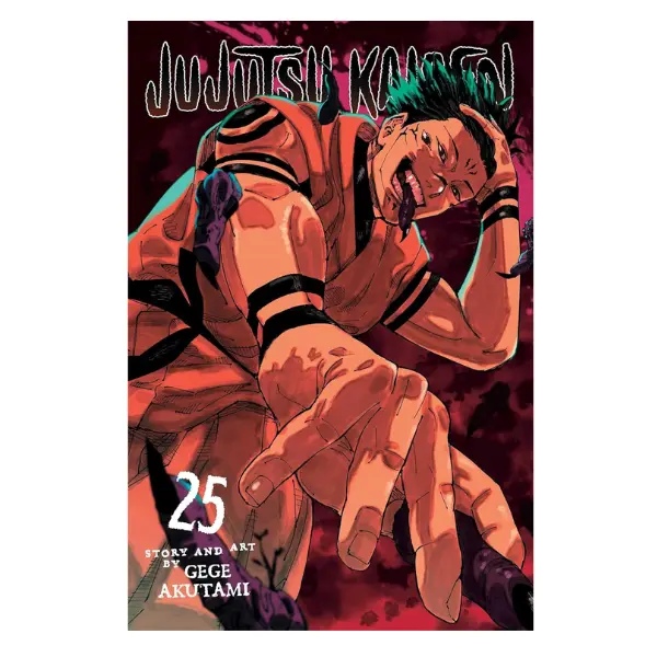 Jujutsu Kaisen, Vol. 25- Book