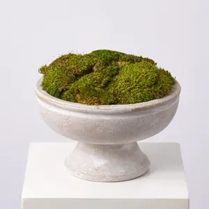 Natural Royal Moss Mound in Large Stone Washed Concrete Compote Vase Everyday Spring Arrangement