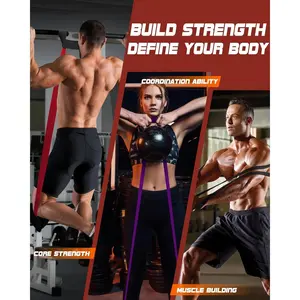 Resistance Band Set - Men and Women Pull-Up Band, Exercise Resistance Band with Door Anchor, Training Poster and Pouch for Body Stretching, Pull-Up Aid