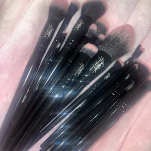 Makeup Brush Set