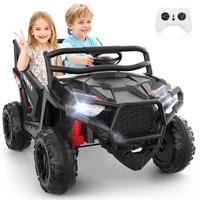 Black-24V 2-Seater UTV