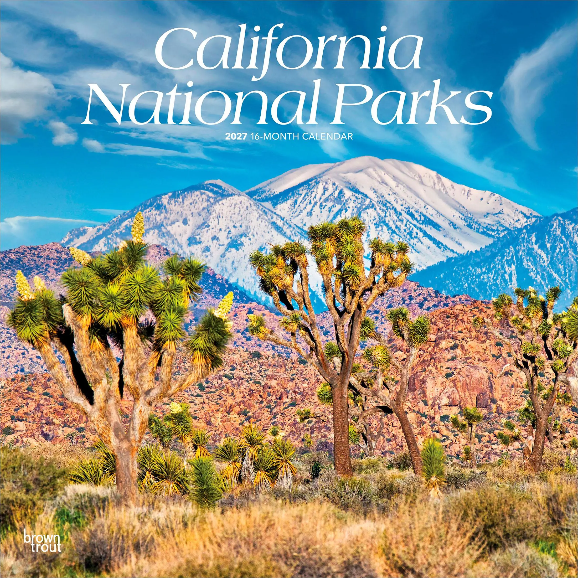 California National Parks | 2027 12 x 24 Inch (Hanging) Monthly Square Wall Calendar | Plastic-Free
