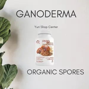 Esporas de Ganoderma con 60 cápsulas