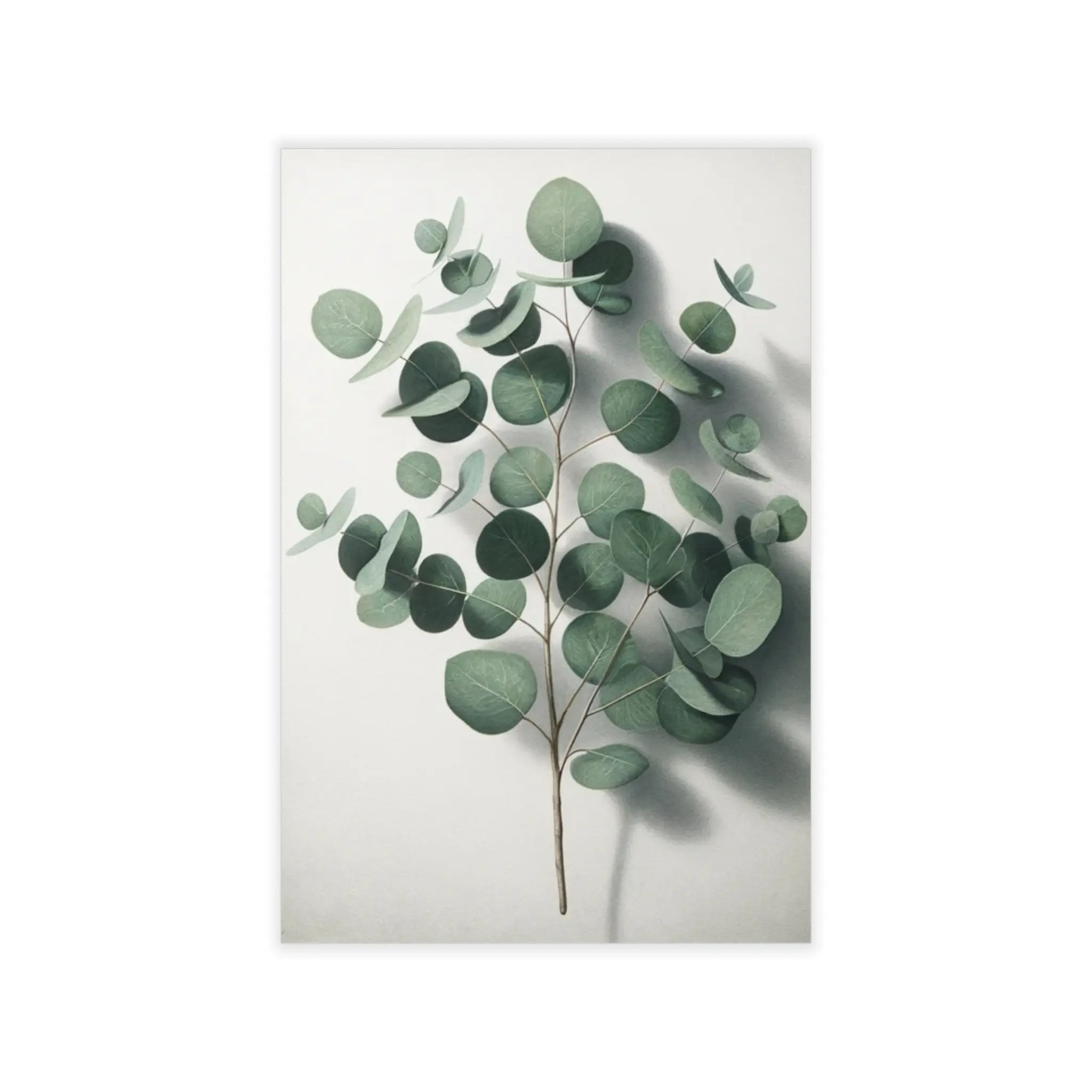 Elegant Eucalyptus Wall Decals, Nature-Inspired Home Decor, Botanical Wall Art, Minimalist Room Aesthetic, Perfect for Living Spaces Decorative Matte Sticker Brush
