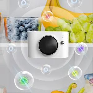 Odor Eliminator for Refrigerator, Car, Wardrobe, Shoe Cabinet, Pet Box - Effective Deodorizing Solution