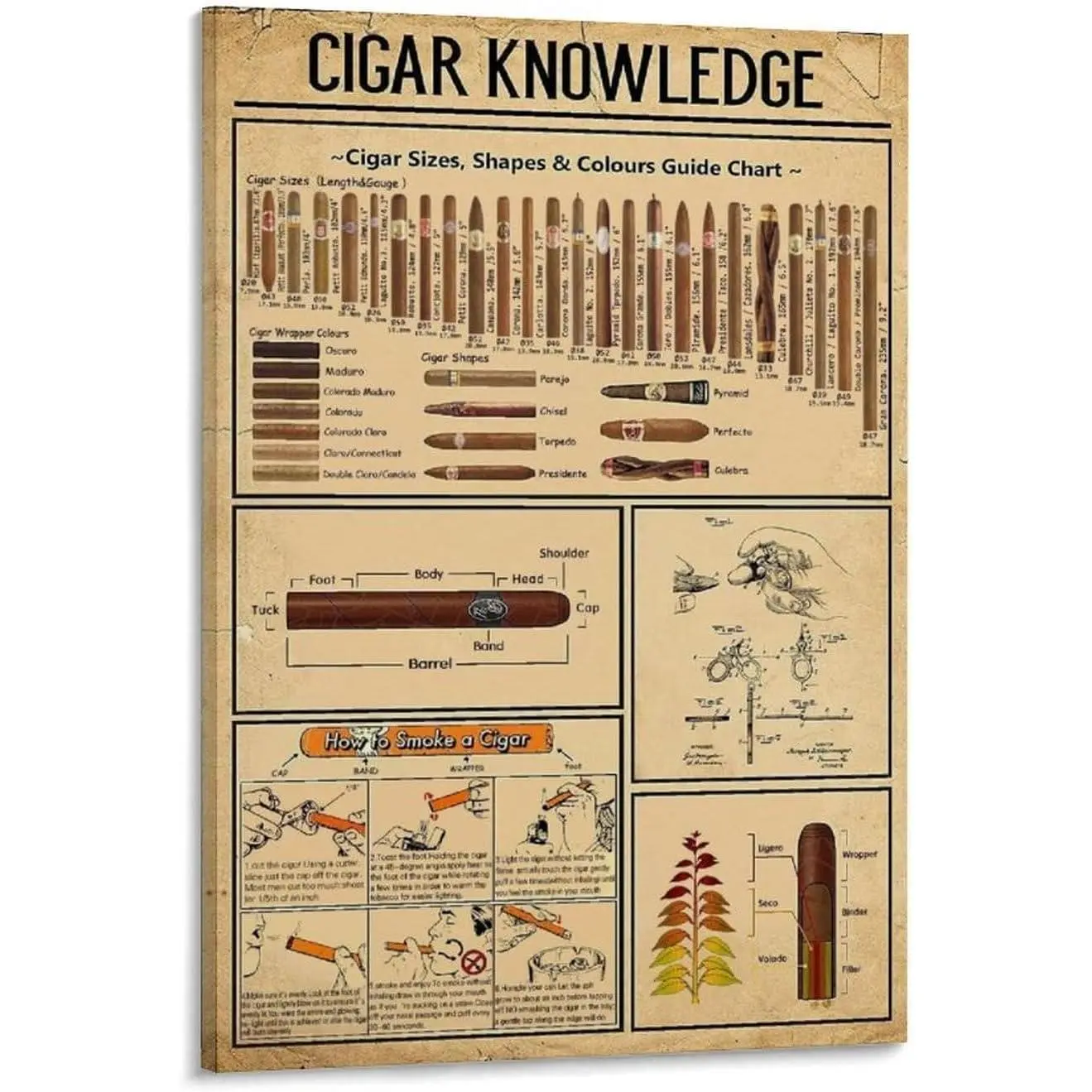 Cuban Cigar Logo Knowledge Chart Canvas Wall Artwork, Frame-Style Poster for Bedroom & Office, 12x18in (30x45cm)
