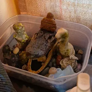 review image 9