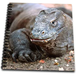 db_73174_1 Indonesia, Sunda Archipelago, Komodo Dragon Lizard-As11 Jst0015 Jay Sturdevant Drawing Book, 8 by 8-Inch