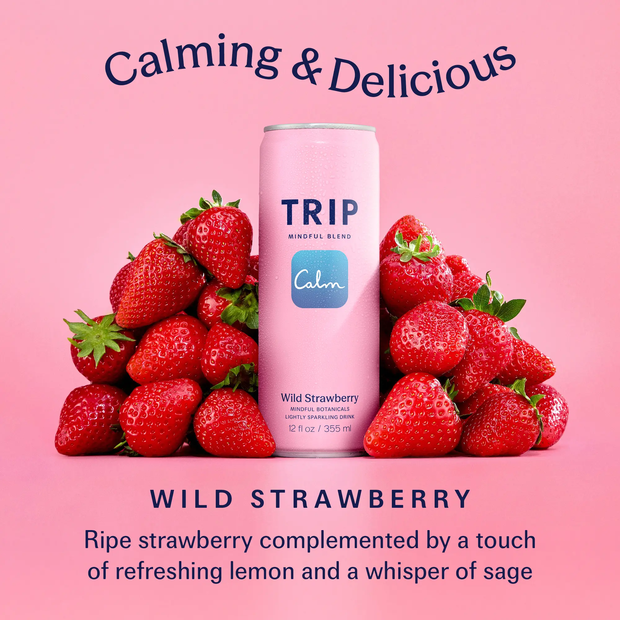 TRIP Wild Strawberry Sparkling Adaptogen Drink 120mg Magnesium, Ashwagandha, Lion's Mane, L-Theanine, Non-Alcoholic, Low Calorie, Vegan (12-Pack, 12oz) - TikTok Shop TRIP Wild Strawberry Sparkling Adaptogen Drink 120mg Magnesium, Ashwagandha, Lion's Mane, L-Theanine, Non-Alcoholic, Low Calorie, Vegan (12-Pack, 12oz) - TikTok Shop