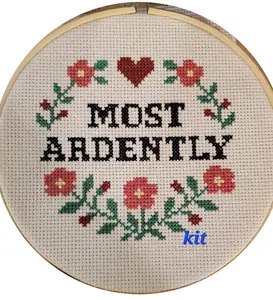 Beginner Jane Austen cross stitch kit Pride & Prejudice Most Ardently