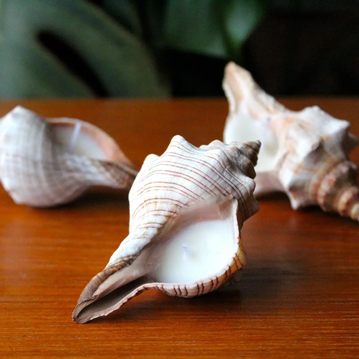 Mini Conch Glitter Candle