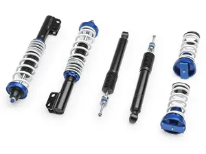 Raceland Primo Adj Damping Coilovers for Ford Mustang (1979-1993) LIFETIME WARRANTY
