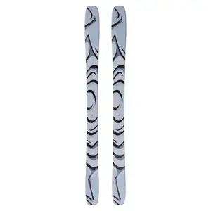 Salomon QST 100 Skis 2026