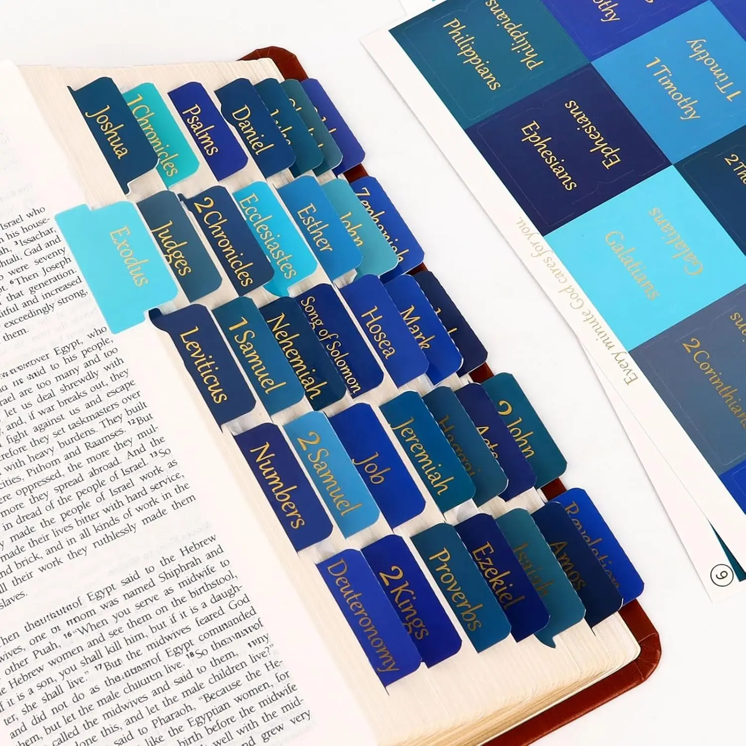 Blue  Tabs for Men's  Studies & Small Groups -   Tabs with -Foil Lettering, Easy to Read,  Journaling Supplies (66 Tabs for Old & 24  Testament)