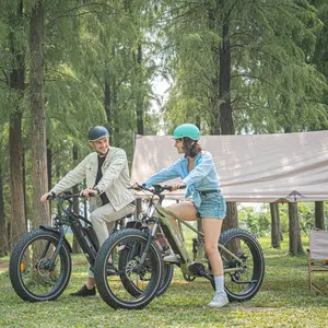 HAOQI Cheetah Ebike - Flagship Ebike(Dual Battery/Full Suspension/750W motor)